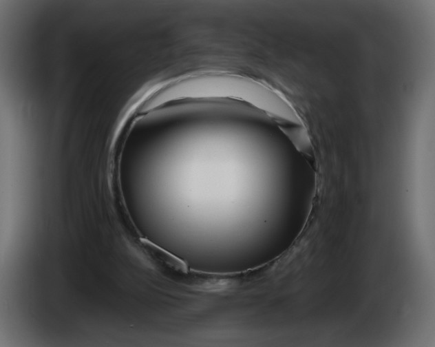 X0000082960152200703020220