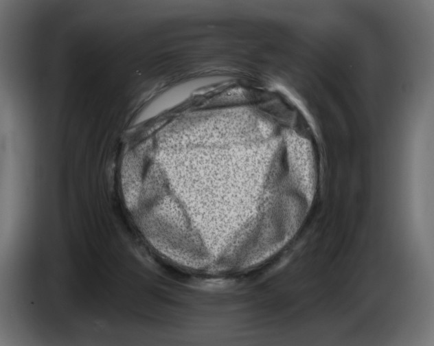 X0000082960153200703020220