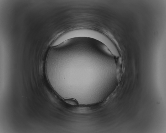 X0000082960154200703020220