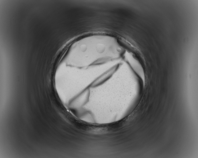 X0000082960155200703020220