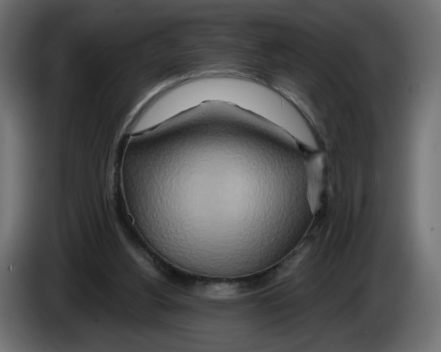 X0000082960156200703020220