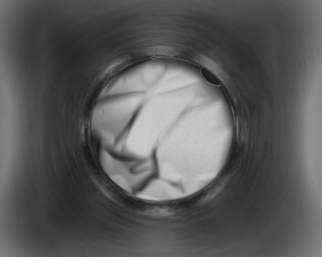 X0000082960157200703020220