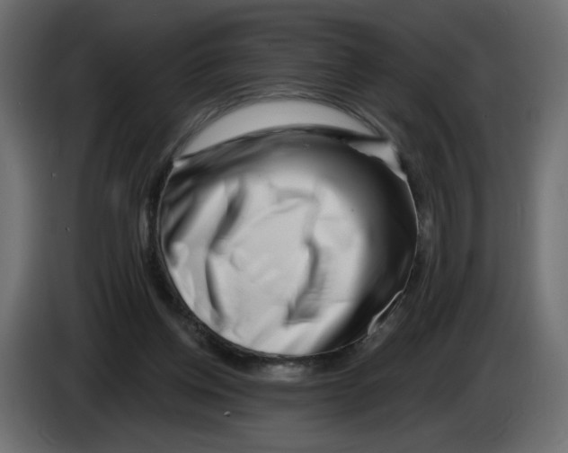 X0000082960158200703020220