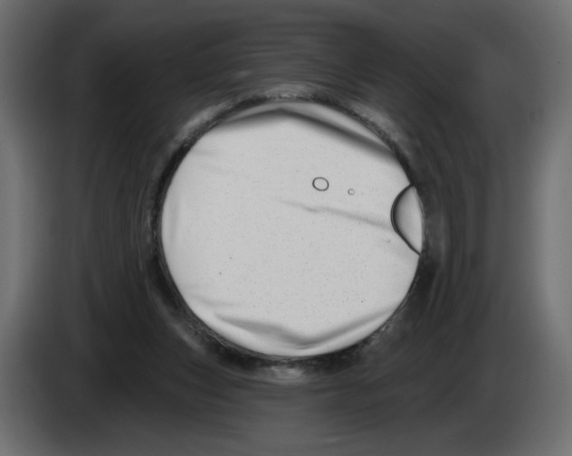 X0000082960159200703020220