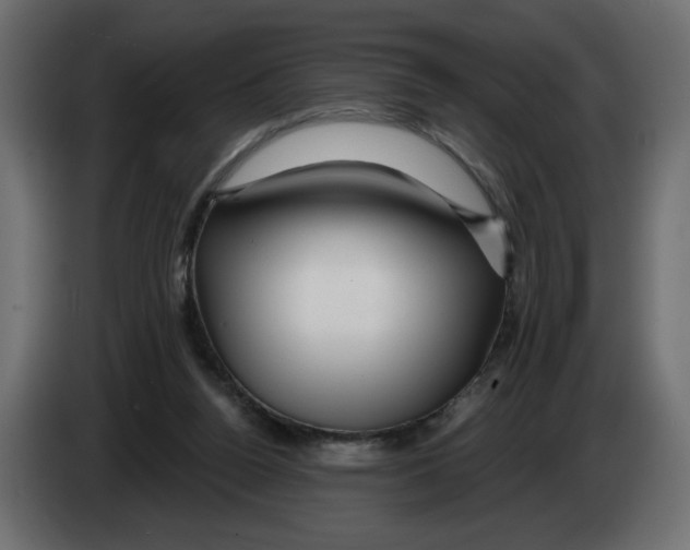 X0000082960160200703020220