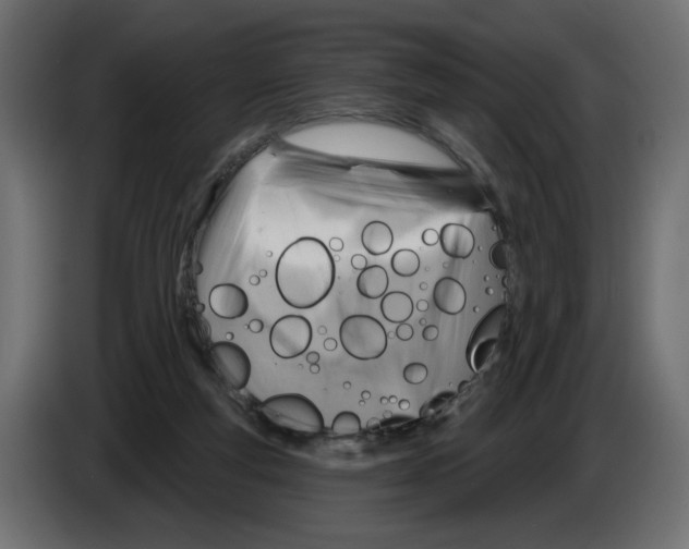 X0000082960163200703020220