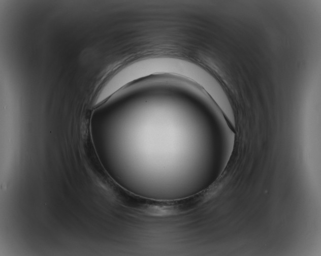 X0000082960164200703020220