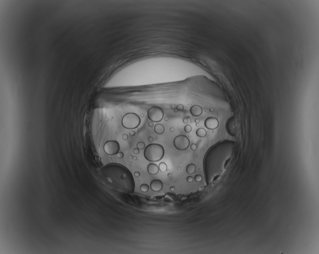 X0000082960167200703020220