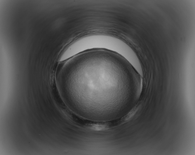 X0000082960168200703020220