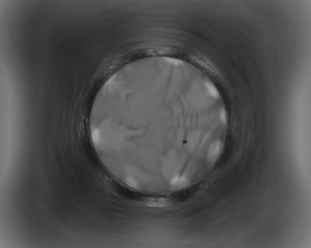 X0000082960169200703020220