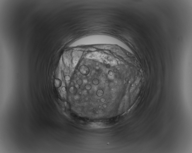 X0000082960171200703020220