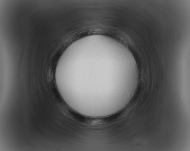 X0000082960173200703020220