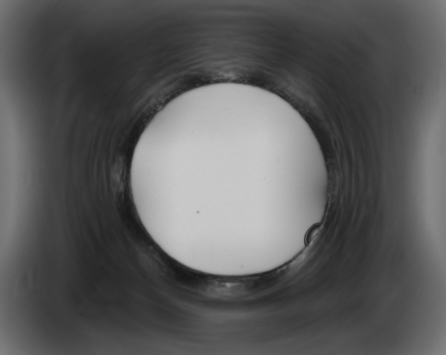 X0000082960174200703020220