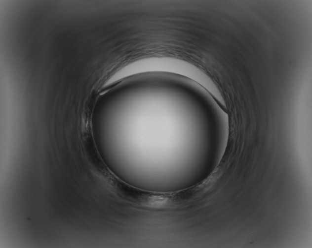 X0000082960176200703020220