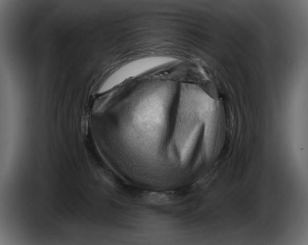 X0000082960180200703020220