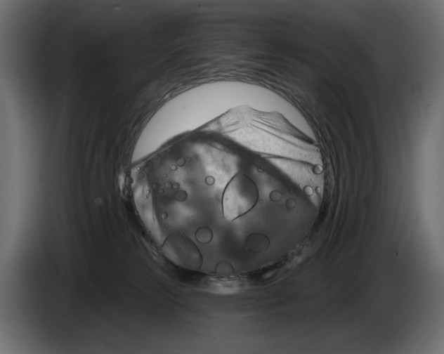 X0000082960181200703020220