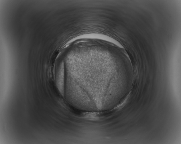 X0000082960182200703020220