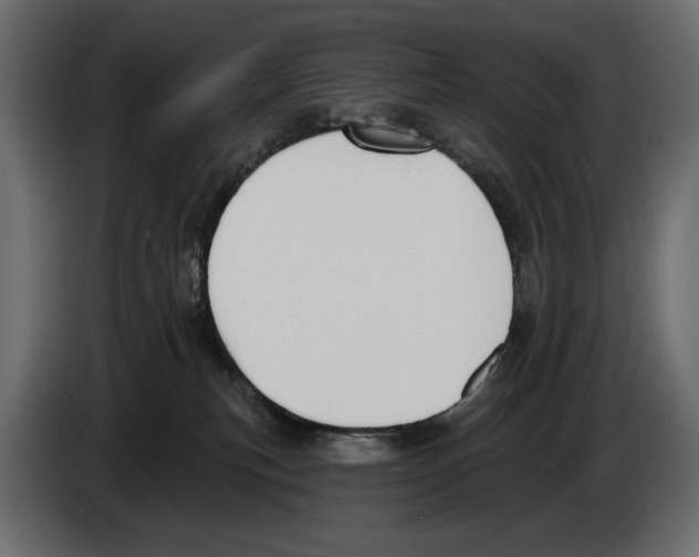 X0000082960183200703020220