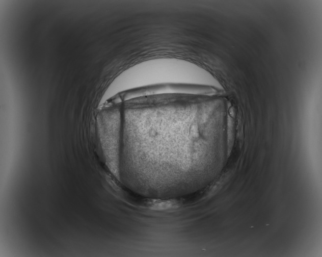 X0000082960185200703020220