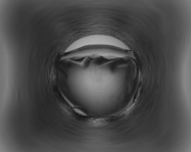 X0000082960186200703020220