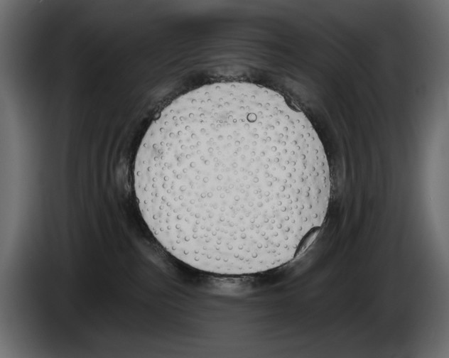 X0000082960187200703020220