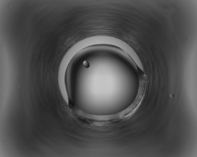 X0000082960190200703020220