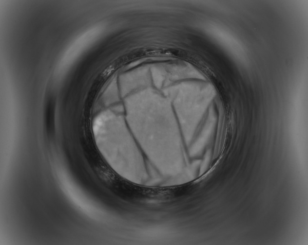 X0000082960191200703020220