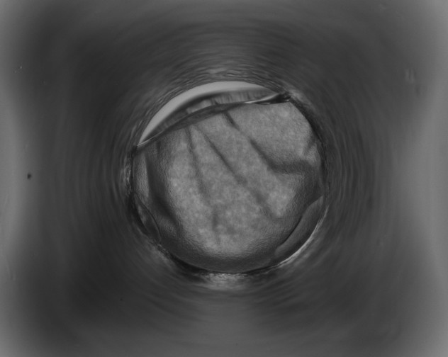 X0000082960192200703020220