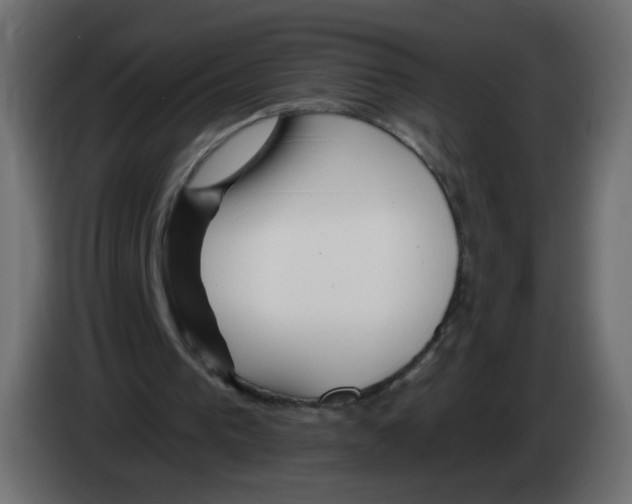 X0000082960193200703020220