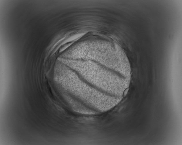 X0000082960194200703020220