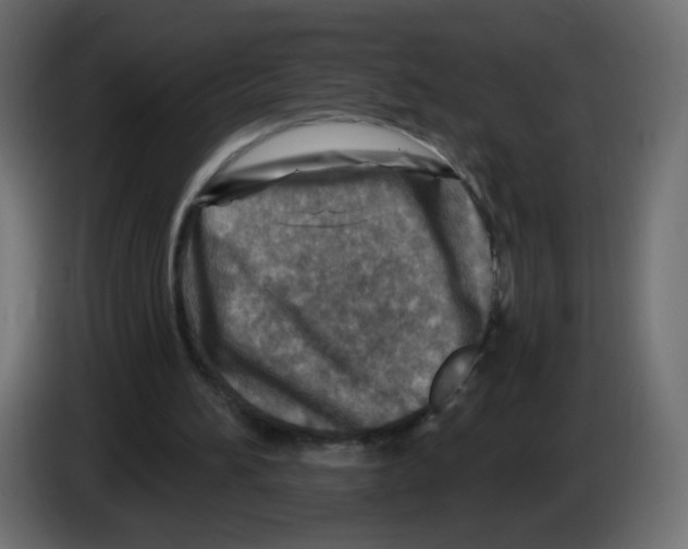 X0000082960196200703020220