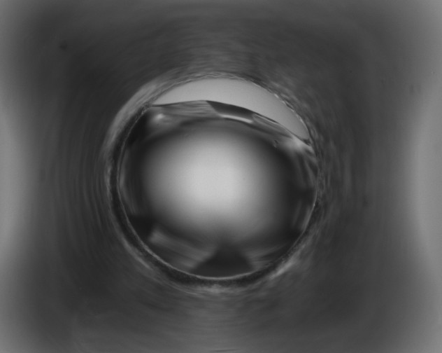 X0000082960197200703020220