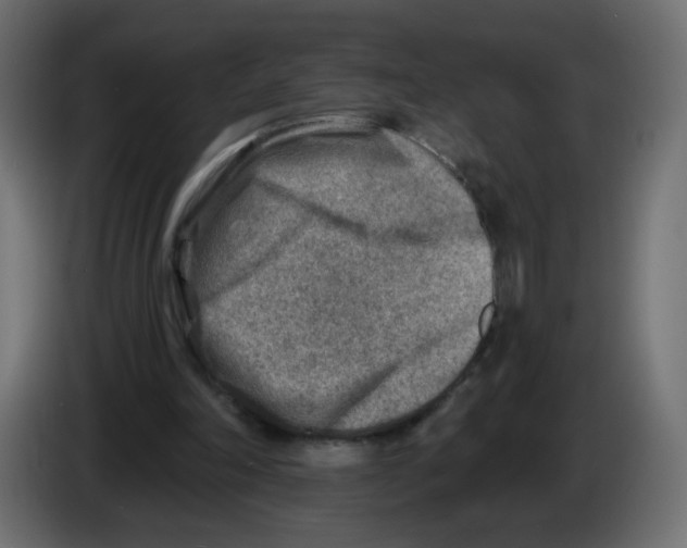 X0000082960198200703020220