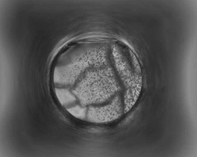 X0000082960199200703020220