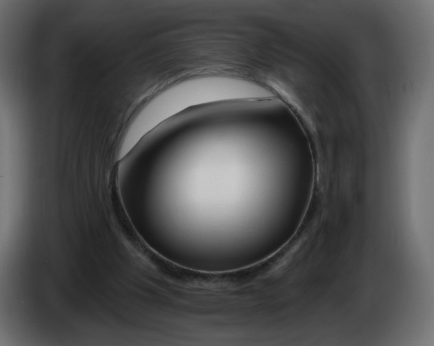 X0000082960201200703020220