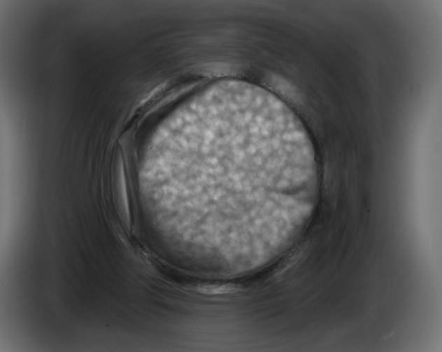 X0000082960202200703020220