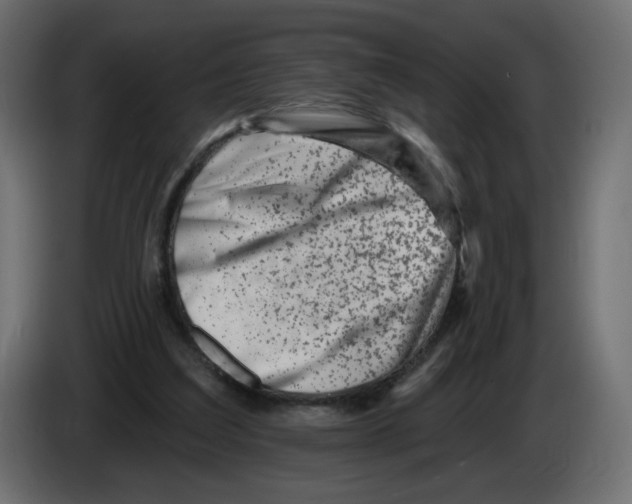 X0000082960203200703020220