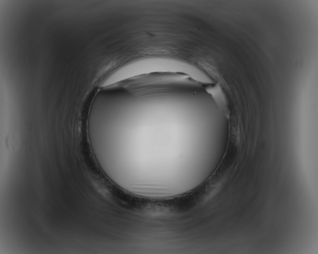 X0000082960207200703020219