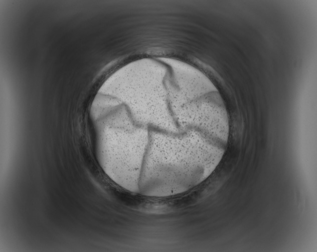 X0000082960208200703020219