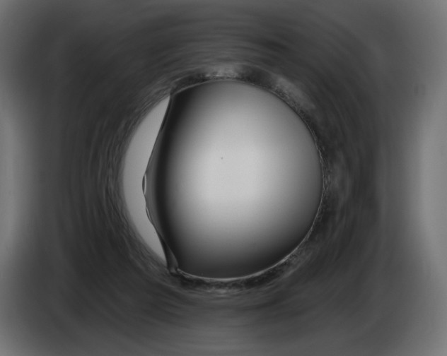 X0000082960209200703020219