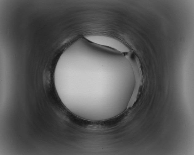 X0000082960211200703020219