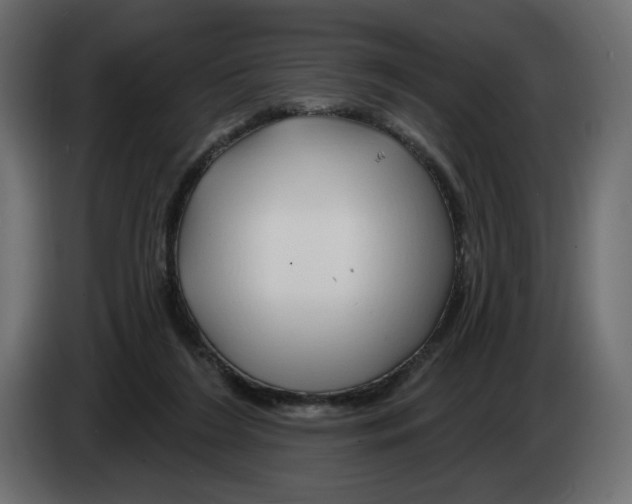 X0000082960212200703020219