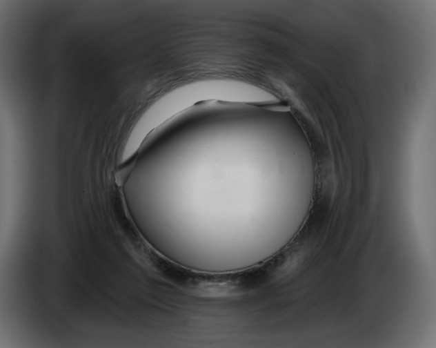 X0000082960213200703020219