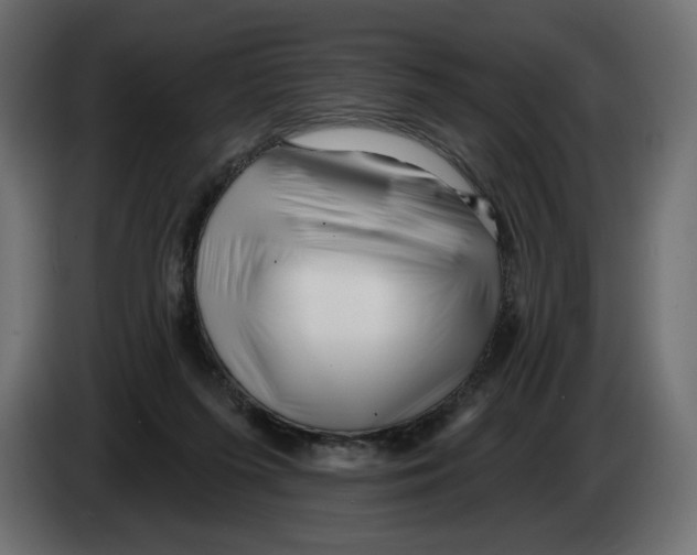 X0000082960215200703020219