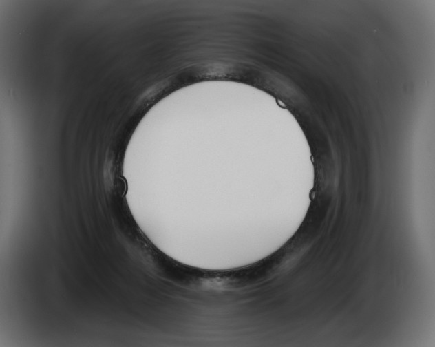 X0000082960216200703020219