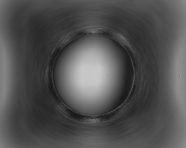 X0000082960217200703020219