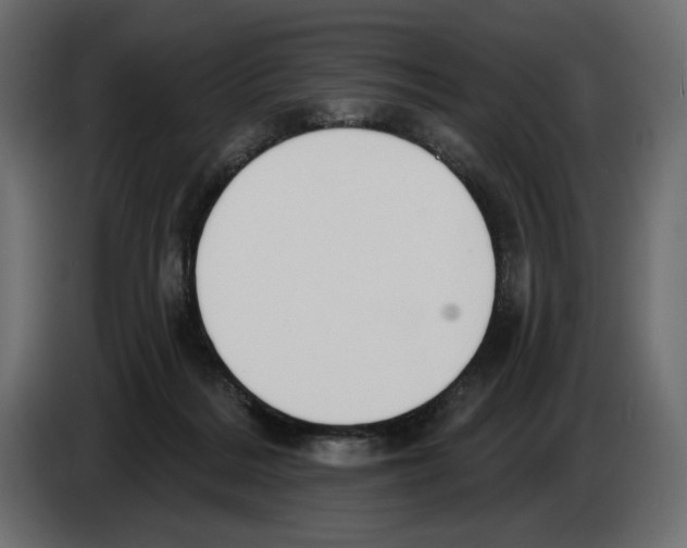 X0000082960220200703020219