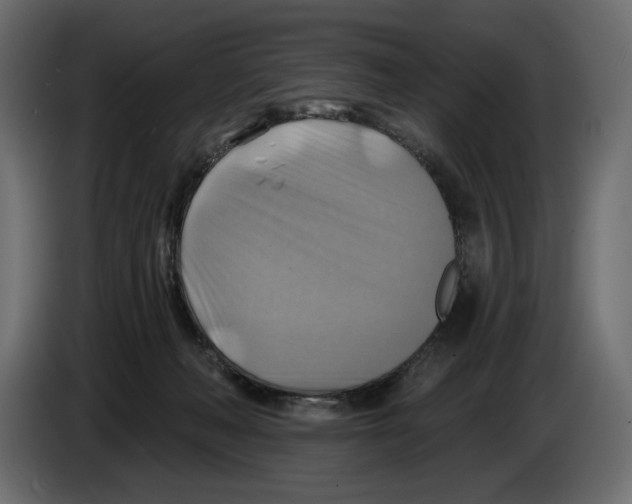 X0000082960222200703020219