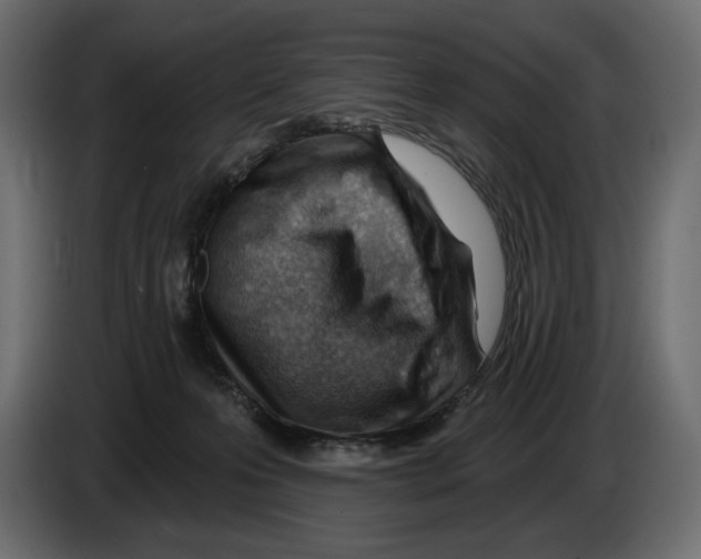 X0000082960223200703020219