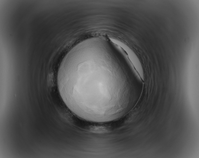 X0000082960224200703020219